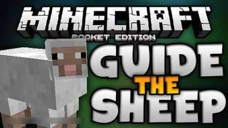 Карта Руководство Овцы