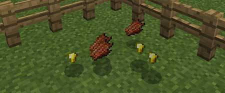 The Nether Caster mcpe 9
