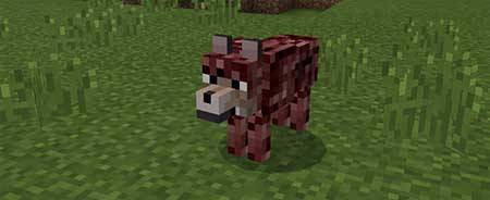 The Nether Caster mcpe 1