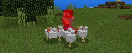 Evil Chicken mcpe 2