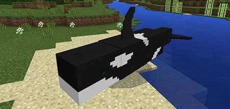 Orca mcpe 2