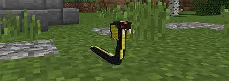 Ancient Creatures mcpe 2