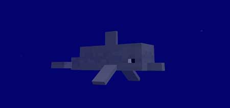 Dolphins mcpe 1