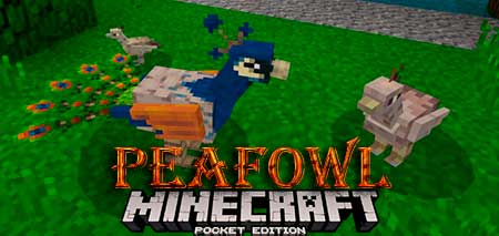 Мод Peafowl для Minecraft PE