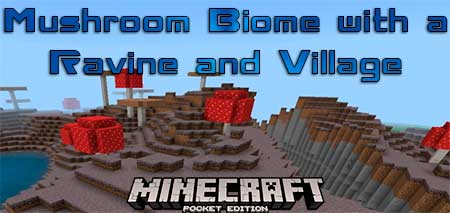 Сид Mushroom Biome with a Ravine and Village для Minecraft PE