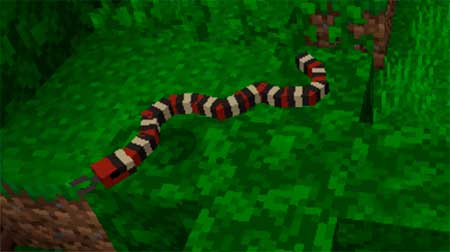 Snakes mcpe 1