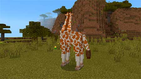 Giraffes mcpe 5