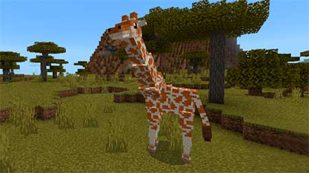 Giraffes mcpe 6
