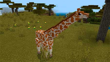 Giraffes mcpe 4