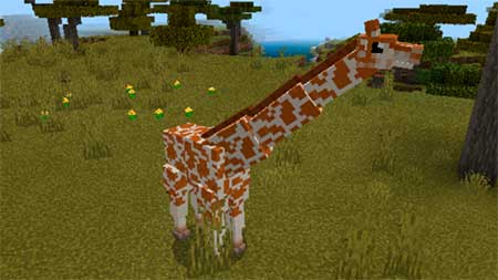 Giraffes mcpe 2