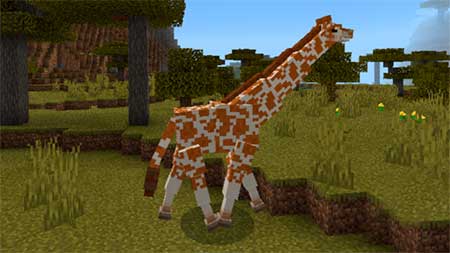 Giraffes mcpe 3