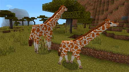 Giraffes mcpe 8