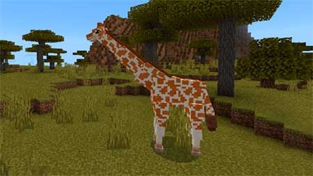 Giraffes mcpe 1