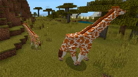 Giraffes mcpe 7