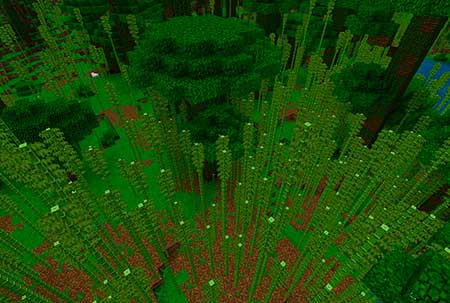 2069597813: Bamboo Forest & Pandas mcpe 4