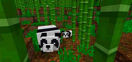 2069597813: Bamboo Forest & Pandas mcpe 5