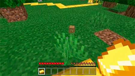 Midas Touch Function Pack mcpe 3