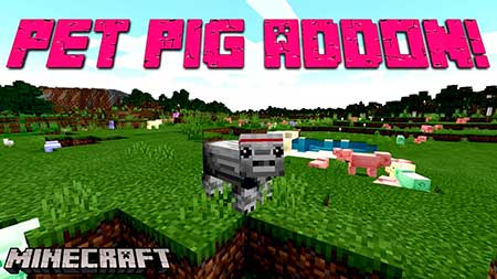 Мод Pet Pigs! для Minecraft PE