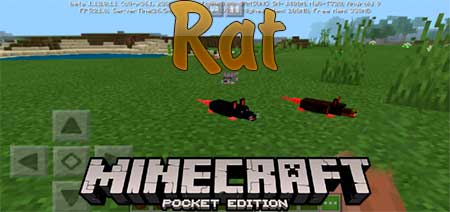 Мод Rat для Minecraft PE