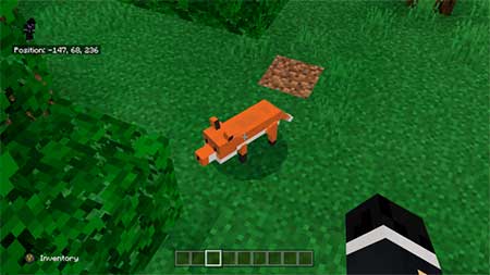 New Mobs: New Pets mcpe 6
