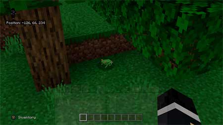 New Mobs: New Pets mcpe 4