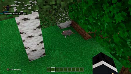 New Mobs: New Pets mcpe 2
