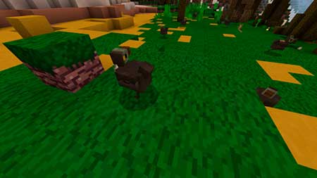The First Race mcpe 6