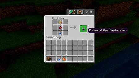 Potions of Youth mcpe 3