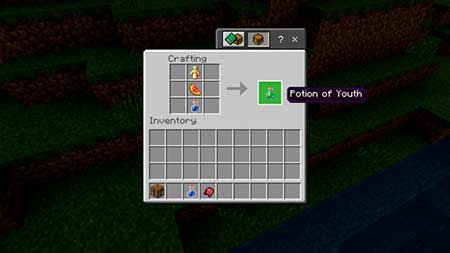 Potions of Youth mcpe 2
