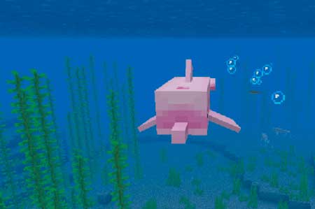 Pink Dolphin mcpe 2