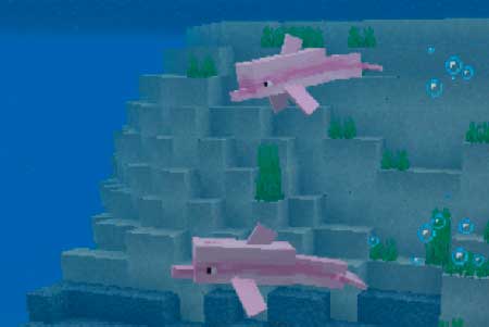Pink Dolphin mcpe 4