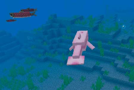 Pink Dolphin mcpe 3
