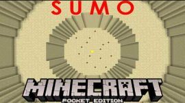 Карта для мини-игры в Сумо