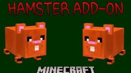 Мод Hamster на Minecraft PE