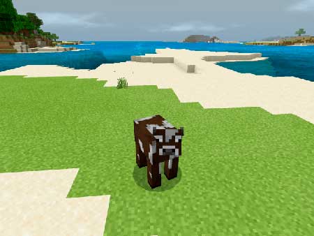 Disguise Function Pack mcpe 7