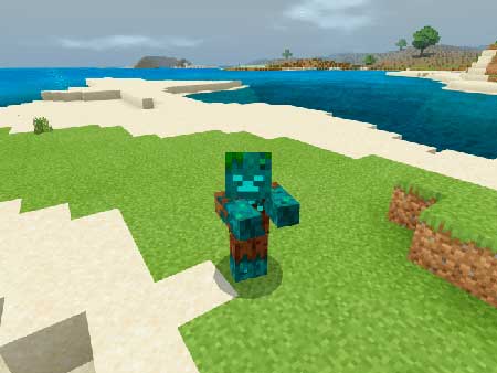 Disguise Function Pack mcpe 2