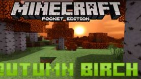 Текстуры Осенняя Береза [1.13]