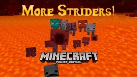 Мод Больше Страйдеров! [1.16]