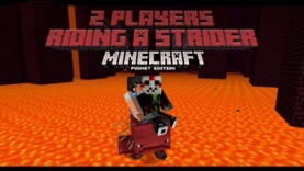 Мод 2 наездника на Страйдере [1.16]