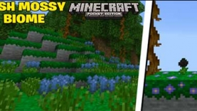 Мод Мшистый биом [1.16]