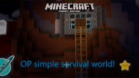 Карта Мир простого выживания [1.16]