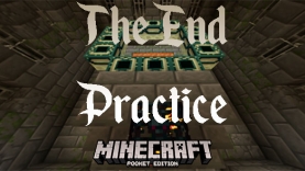 Карта Спидран Края [1.17]