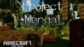 Карта Джунгли и тундра [1.17]