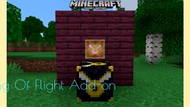 Мод Кольцо полёта [1.17]