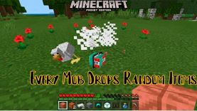 Мод Рандомный дроп [1.18]