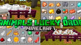 Мод Случайный дроп [1.19]