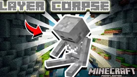 Мод Тело игрока [1.18]