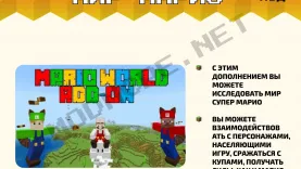 Мод Мир Марио [1.19]