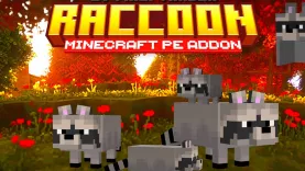 Мод Raccoon's Addon