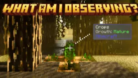 Мод WAID (What Am I Observing?)